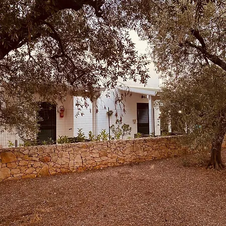 Quasimare Bed and breakfast